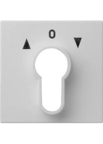 GIRA 0664015 Abdeckung f&uuml;r Schl&uuml;sselschalter und Schl&uuml;sseltaster, System, 55, grau matt