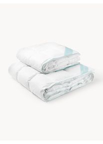 P&eacute;řov&aacute; přikr&yacute;vka Premium, celoročn&iacute; Tyrkysov&aacute;, B&iacute;l&aacute; Bavlna, Prachov&eacute; peř&iacute; &Scaron; 200 cm, D 200 cm | Westwing Collection