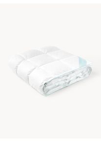 Přikr&yacute;vka Premium, chladiv&aacute; B&iacute;l&aacute; Peř&iacute;, Prachov&eacute; peř&iacute; &Scaron; 240 cm, D 220 cm | Westwing Collection