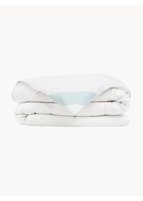 P&eacute;řov&aacute; přikr&yacute;vka Premium, středn&iacute; B&iacute;l&aacute; Bavlna, Prachov&eacute; peř&iacute; &Scaron; 135 cm, D 200 cm | Westwing Collection