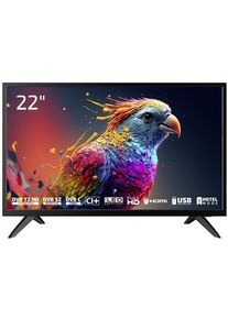 Dyon Enter 22 Pro X2 22" LED-TV Fernseher Triple‐Tuner HD CI+ HDMI USB schwarz