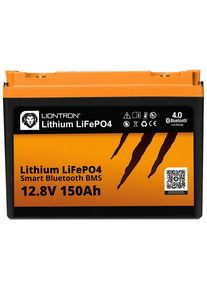 Liontron LI-Smart-LX-12-150 Arctic Lithium Batterie Versorgungsbatterie 12,8V 150Ah BMS BT Bluetooth Camping