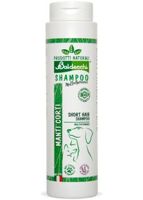Baldecchi Short Hair Multivitamin Shampoo, 250ml