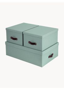 BIGSO BOX OF SWEDEN Sada úložných boxů Inge, 3 díly Zelená Kůže Sada s různými velikostmi