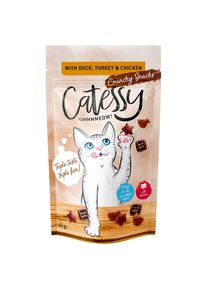 15x65g Catessy křupavé pamlsky – výhodné balení - s kachnou, krocanem a kuřecím