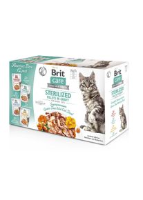 Brit Care Cat Box Fillets in Gravy Sterilised, 12 &times; 85 g