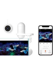 aQua united Visual automat na krmení ryb