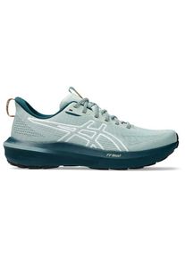 asics GT-1000 14 TR Running shoes Men (45, grey)