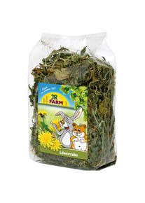 JR FARM p&iacute;cniny pro hlodavce - Pampeli&scaron;ka 500 g