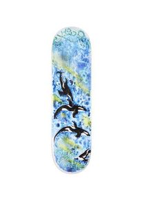 GX1000 Greene Killer Whale 8.5" Skateboard Deck multi