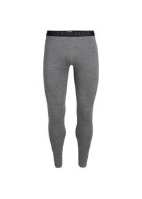 Icebreaker 260 Tech Leggings Long john Men (XXL, grey)