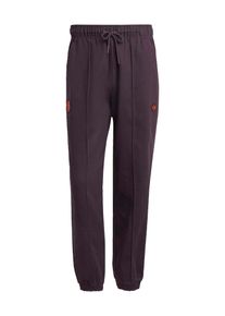 adidas Performance Muži Sportovn&iacute; kalhoty 'FC Bayern M&uuml;nchen' mokka L