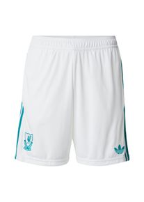adidas Performance Muži Sportovní kalhoty 'Liverpool FC' nefritová / bílá S