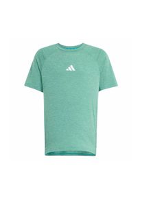 adidas Sportswear Chlapci Funkční tričko zelený melír 116