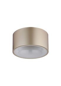 Globo Globo 56964G - LED Stropní svítidlo RAYMOND LED/12W/230V pr. 15 cm 3000K béžová