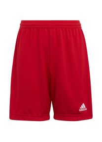 adidas Performance Chlapci Sportovní kalhoty 'Entrada22' ohnivá červená / bílá 164