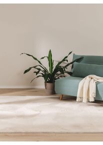 benuta Basic Uměl&eacute; kož&iacute;&scaron;kov&eacute; koberce Furry B&eacute;žov&aacute; 120x170 cm Uni