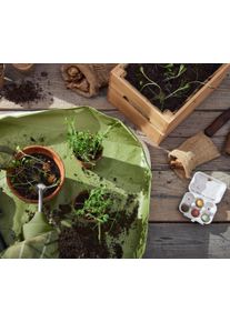 Tchibo - Sprška na kytky - barva: zelená