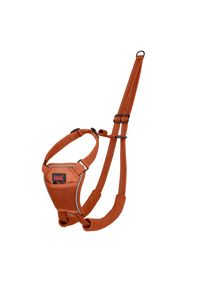 HALTI No Pull výcvikový postroj - oranžový: velikost S, např. corgi, bostonský teriér