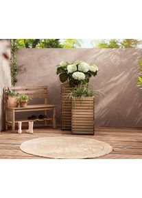 Tchibo - Sada vysokých truhlíků »Tinus« - barva: hnědá