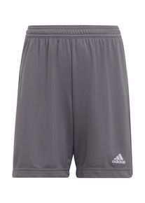 ADIDAS PERFORMANCE Chlapci Sportovní kalhoty 'Entrada 22' tmavě šedá / bílá 116