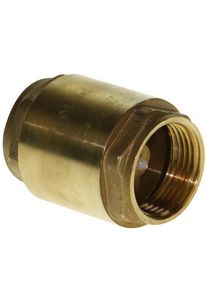 Non-Reverse Valve 3/4''