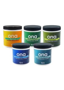 ONA Block Odour Neutraliser 170 g