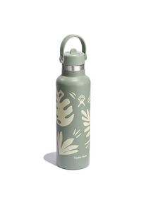 Hydro Flask Hydration Standard Flex Straw Cap Trinkflasche 620 ml grün