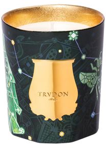 Trudon - Scented Candles-Fir - Candle
