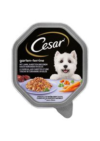 28x150g Megapack CESAR mistička - jehněčí, mrkev a koriandr v želé