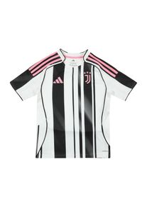 adidas Performance Chlapci Funkční tričko 'Juventus Turin 25/26' růžová / černá / bílá 140