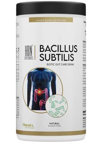 HBN Supplements Bacillus Subtilis Biotic Gut Care Drink, 600 g Dose, Natural