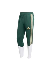 adidas Performance Muži Sportovn&iacute; kalhoty 'FIGC TR PNT' zelen&aacute; / pastelově zelen&aacute; / b&iacute;l&aacute; M