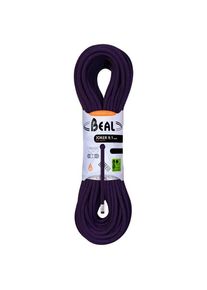Beal Joker 9.1mm Single rope (70 m, blue)