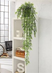 Dekorace Bambus | Zelená | Vel. 30 cm | bonprix