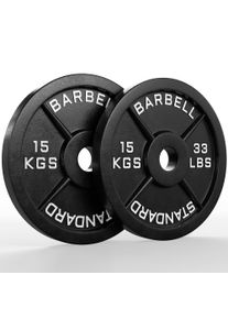 Classic Iron Plates | Paar | 15kg