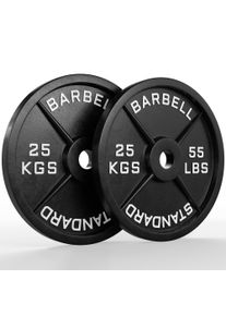 Classic Iron Plates | Paar | 25kg