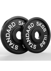 Classic Iron Plates | Paar | 5kg