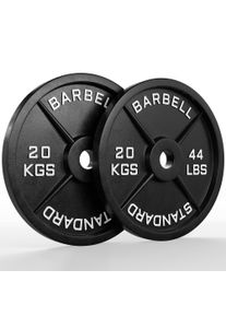 Klasick&eacute; železn&eacute; kotouče | P&aacute;r 20kg