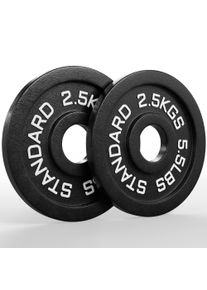 Classic Iron Plates | Paar | 2.5kg