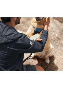 Tchibo - Postroj pro psy - barva: modrá