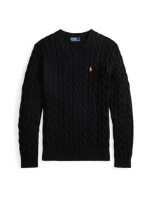 Polo Ralph Lauren Muži Svetr žlutá / černá XL