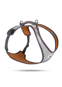 Curli Glow Belka Hundegeschirr, grau, 2XL