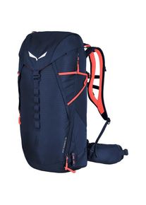 Salewa Montain Trainer 2 28 Walking backpack blue
