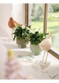 Dekorativní figurka ptáčci (2 ks v balení) | Béžová | Vel. 21,5x14 cm | bonprix