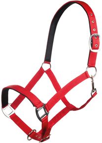 HKM Charming Halfter, weich unterlegt, kirschrot, Vollblut