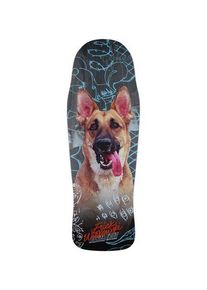 Santa Cruz Winkowski Tribute Shaped 10.34" Skateboard Deck multi