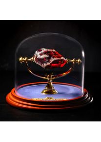 Harry Potter De Steen der Wijzen - The Noble Collection