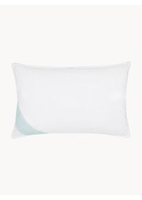 P&eacute;řov&yacute; pol&scaron;t&aacute;ř Comfort, středn&iacute; Tyrkysov&aacute;, B&iacute;l&aacute; Bavlna, Prachov&eacute; peř&iacute;, Peř&iacute;, L&aacute;tka &Scaron; 50 cm, D 80 cm | Westwing Collection