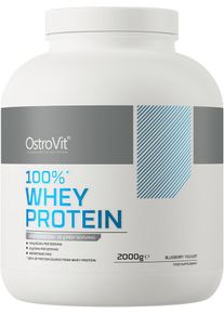 OstroVit 100% Whey Protein, 2000 g Dose, Blueberry Yoghurt